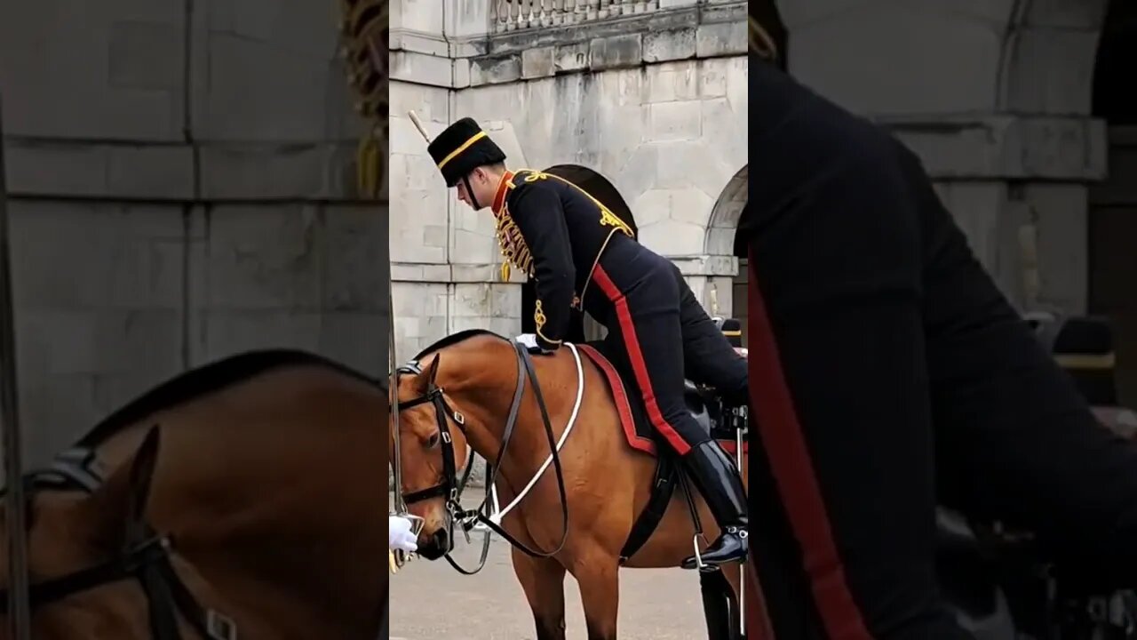 King's troop dismount the horse #horseguardsparade