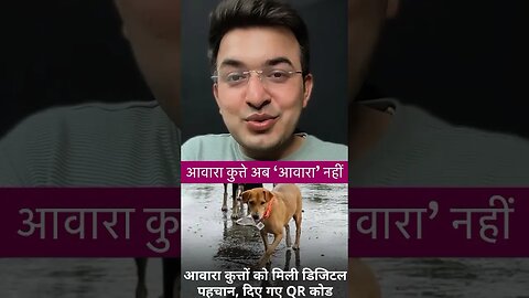 अब अवरा कुत्ते🐕 को भी मिला QR कोड #viral #shortsviral #shortsindia #news #shorts