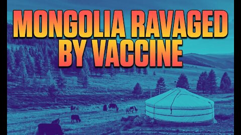 Mongolia and Vietnam - Covid Free Until Vaccine Came Along