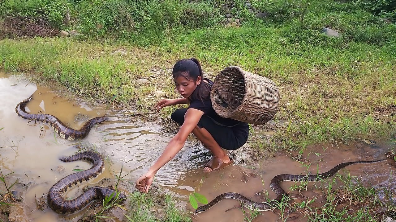 Catch and cook snake for survival food, Snake soup tasty for dinner - Survival in forest