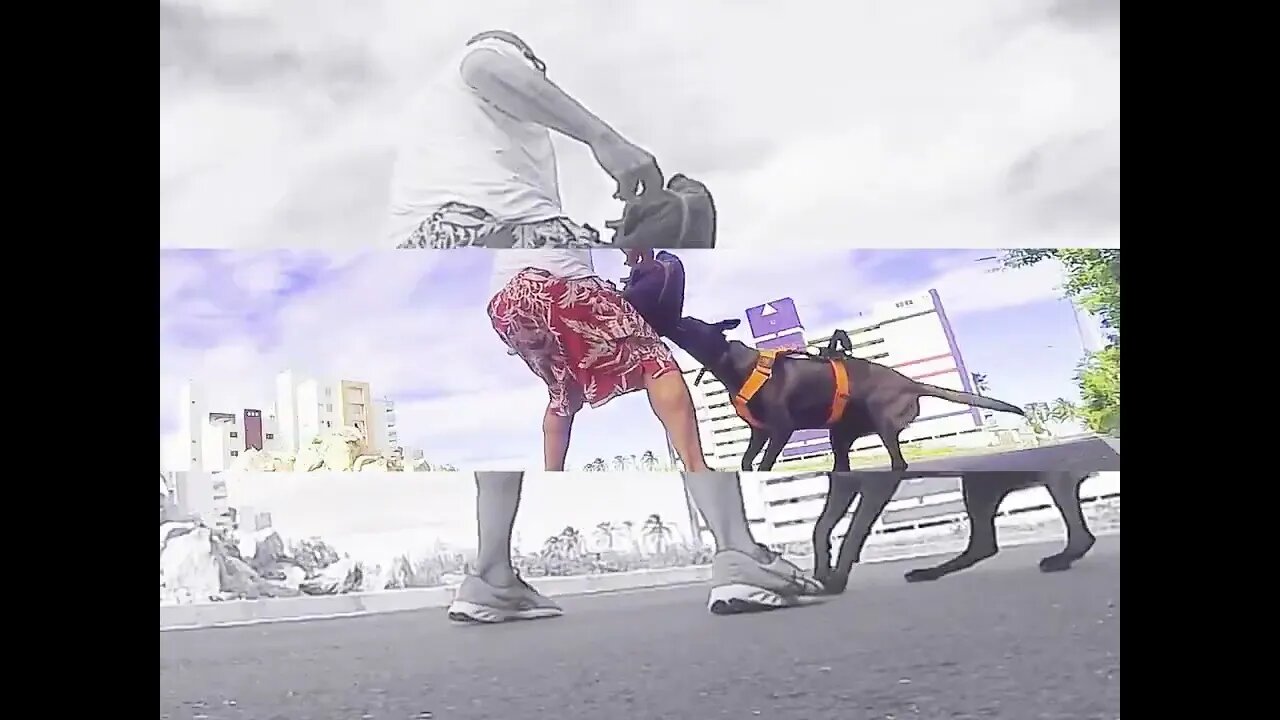 ß Ø ¥ Å: Treino de Rua