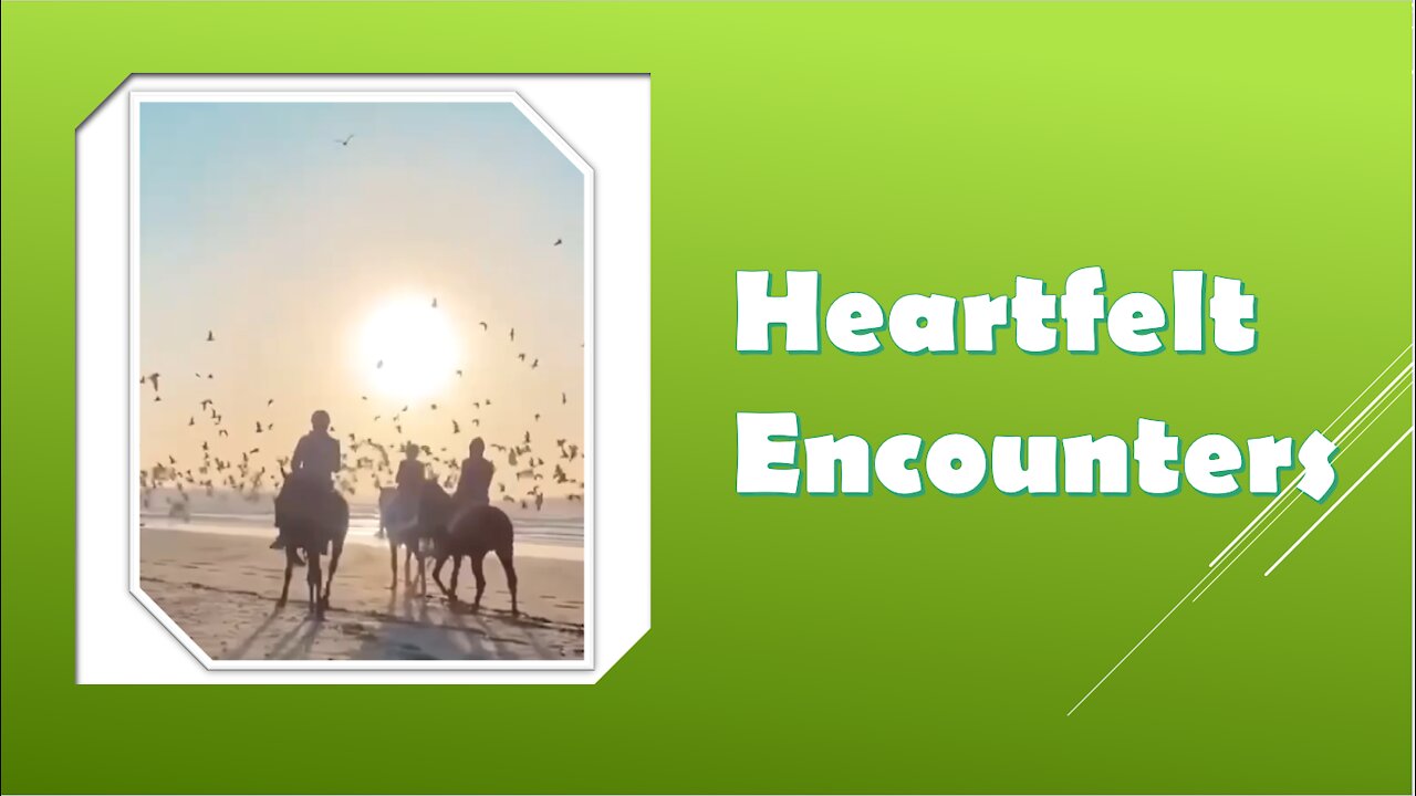 Heartfelt Encounters Animal Clips: horse therapist, dogs, cats, children, and more