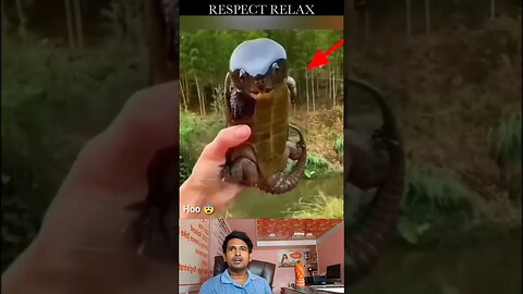 Respect Relax 😍💯🔥 Shorts_Videos #shorts #shortsvideos #viral #trending #reels #respect #shortfeed