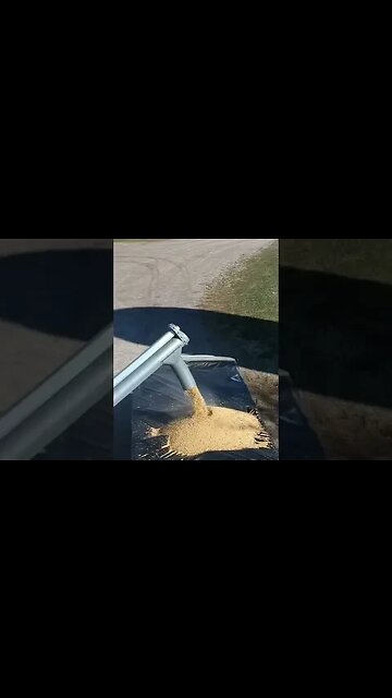 That's Never Happened Before! Stupid Mistake!