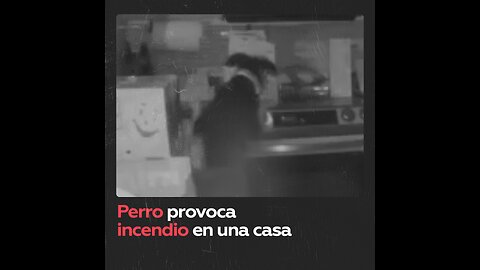 Un perro provoca por accidente un incendio en la casa de sus dueños