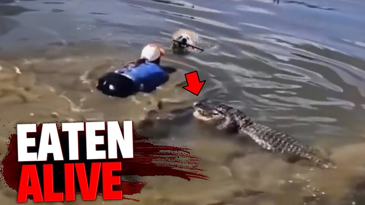 Horrifying: These 3 People Were EATEN ALIVE While Walking Their Dogs! 😱