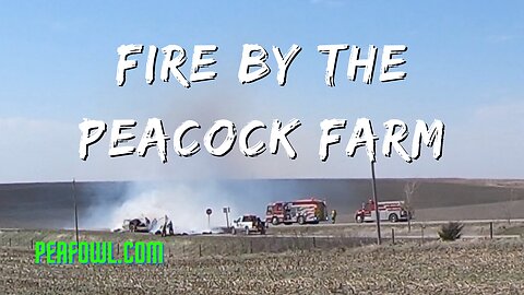Fire By The Peacock Farm, Peacock Minute, peafowl.com