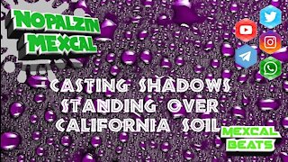 CASTING SHADOWS STANDING OVER CALIFORNIA SOIL