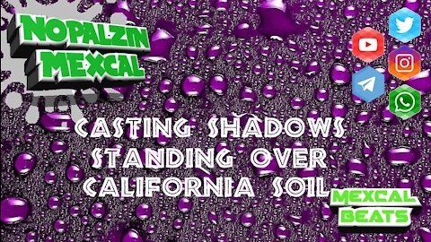 CASTING SHADOWS STANDING OVER CALIFORNIA SOIL