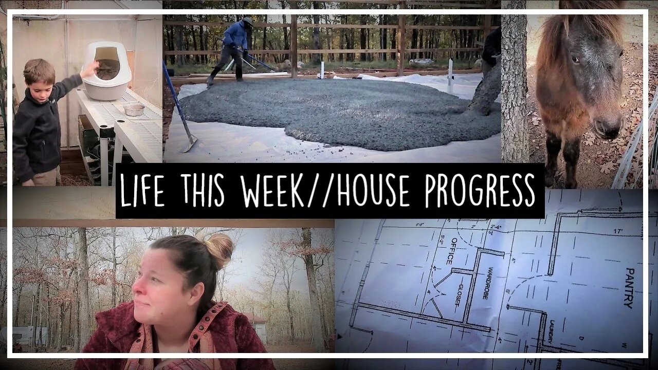 House Plans and Current Status//Life this Week