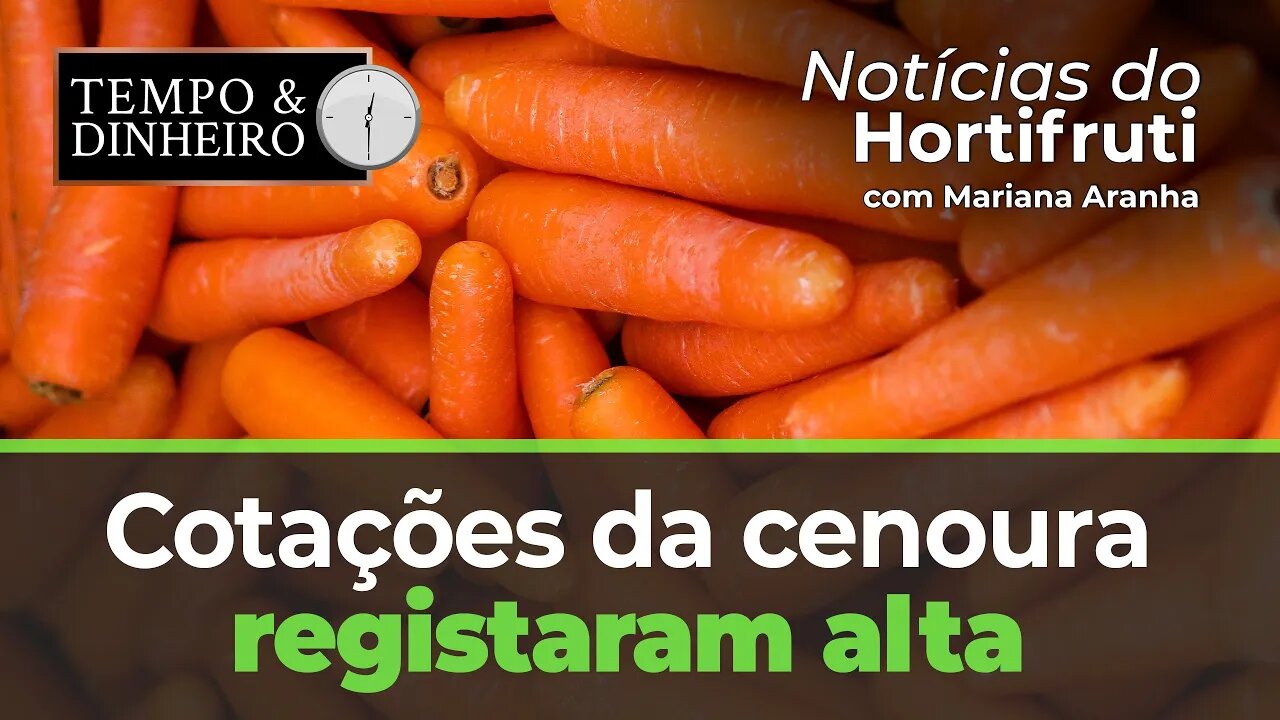Cotações da cenoura registaram alta. Aumento também da manga Pálmer e Tommy