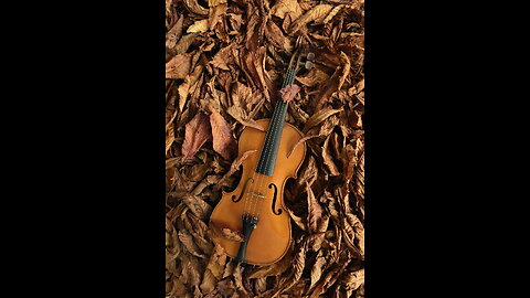 4 Hours - Violin Relaxing Music_Meditation_Sleep