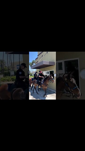 With the temperatures rising, Jack and Charlie made sure Officer Rose...