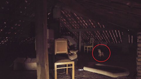 REAL GHOST ACTIVITY CAUGHT ON CAMERA!!!