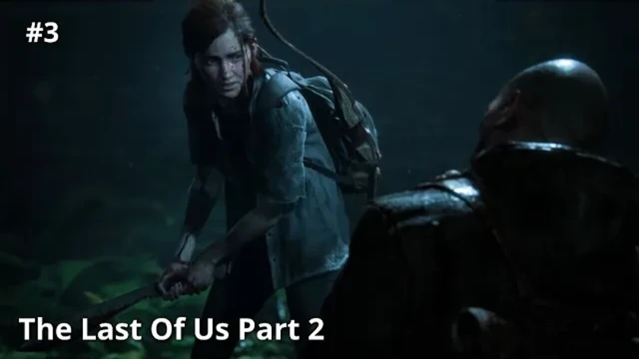 The Last Of Us Part 2 (#3)