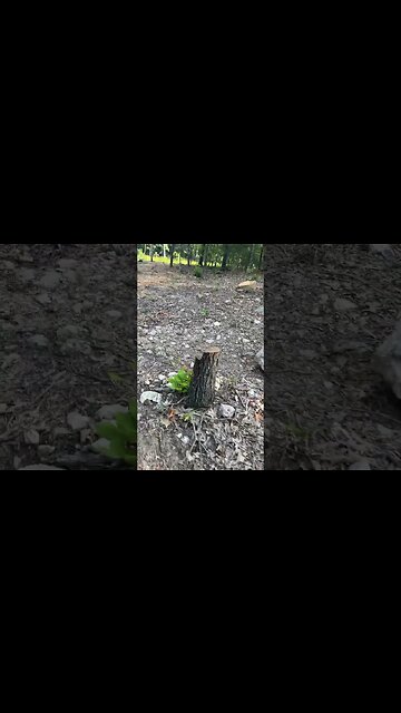 As the #world turns #2023