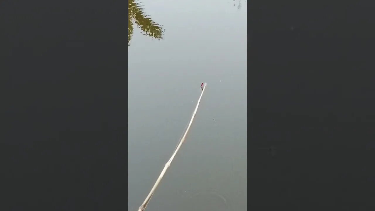 Best Amazing Unique Hook Fishing Technique Form River Village Boy Hunting Big Fish By Hook in River