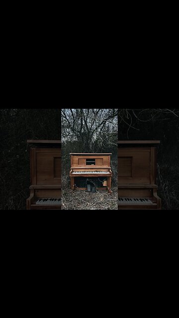 Relaxing Piano Music with Sounds of Nature 🎹 Healing music for your Soul - Zen Garden