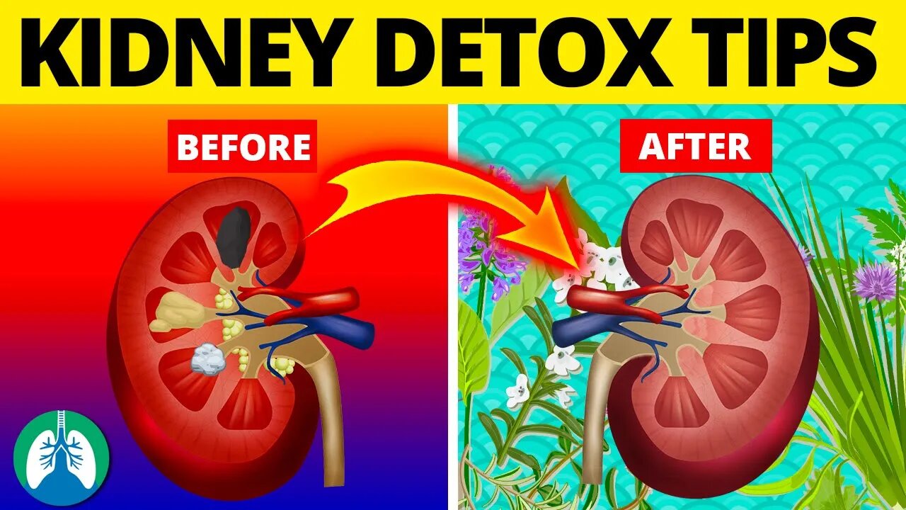 7 Ways to Detox and Cleanse Your Kidneys Naturally