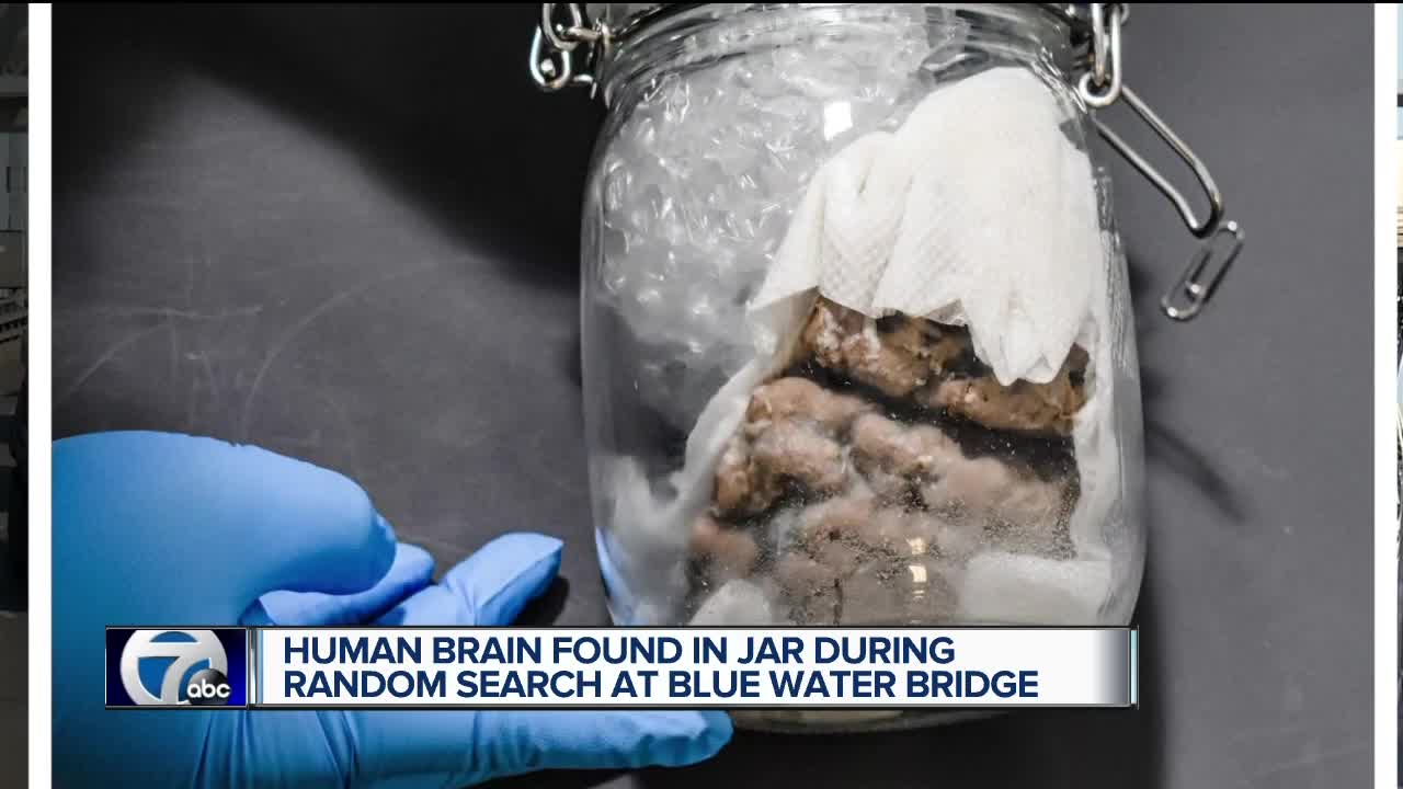 Human brain inside jar seized at Blue Water Bridge on Valentine's Day