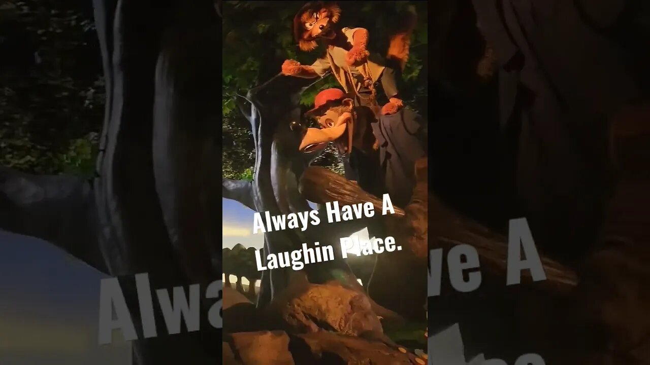 Always Have A Laughin Place, Wisdom From Splash Mountain.