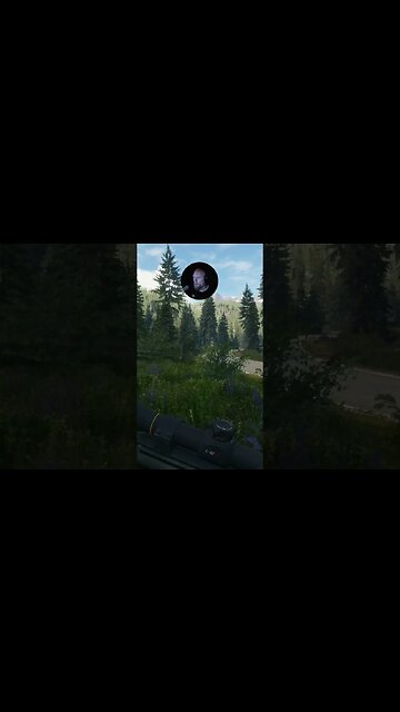 Poor Birds #callofthewild #cotw #game #mrandmrswolfgaming #shorts