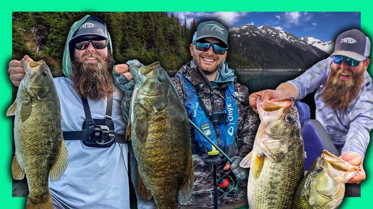 2020 Bass Fishing | How I caught BIG Bass All Year!