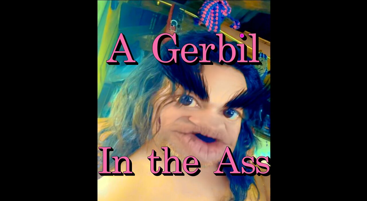 A Gerbil in the Ass