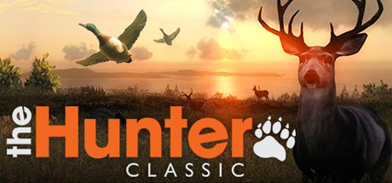 theHunter Classic #4