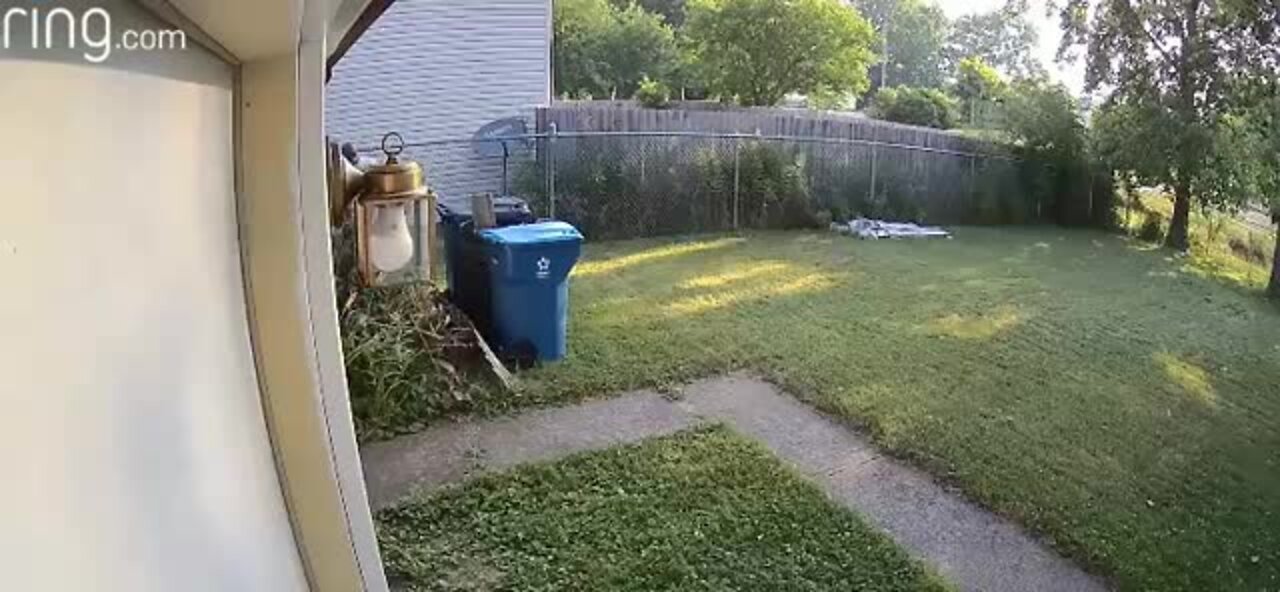 Lorain PD looking for naked man caught loitering in backyard