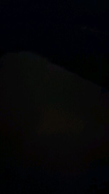 The [dic's] Just can't get enough!