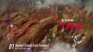DiRT Rally 2 - Dangerous Dash Through Beaver Creek Trail