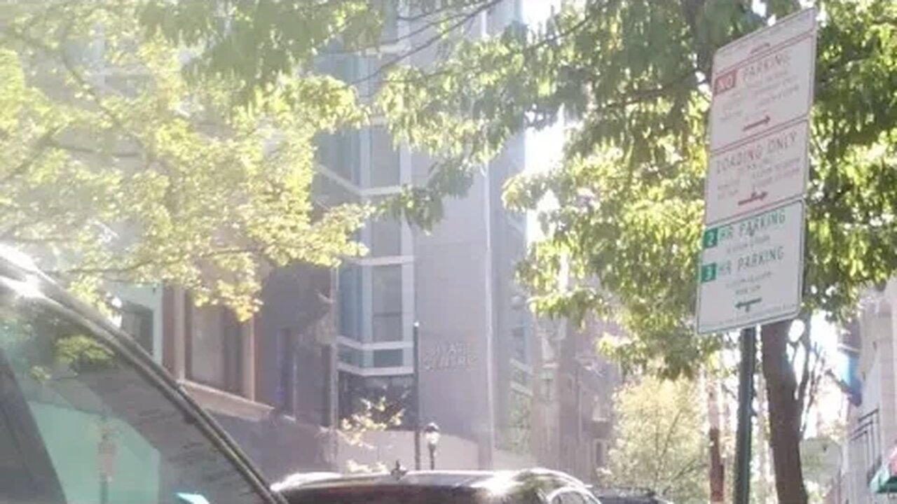 Scoot To Dog Walk. South Philly 🐿️🦃🐧🐾🐾🐶