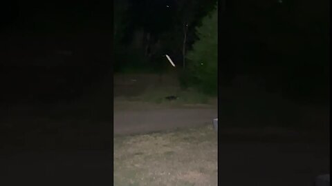 Skinwalker caught on camera ?