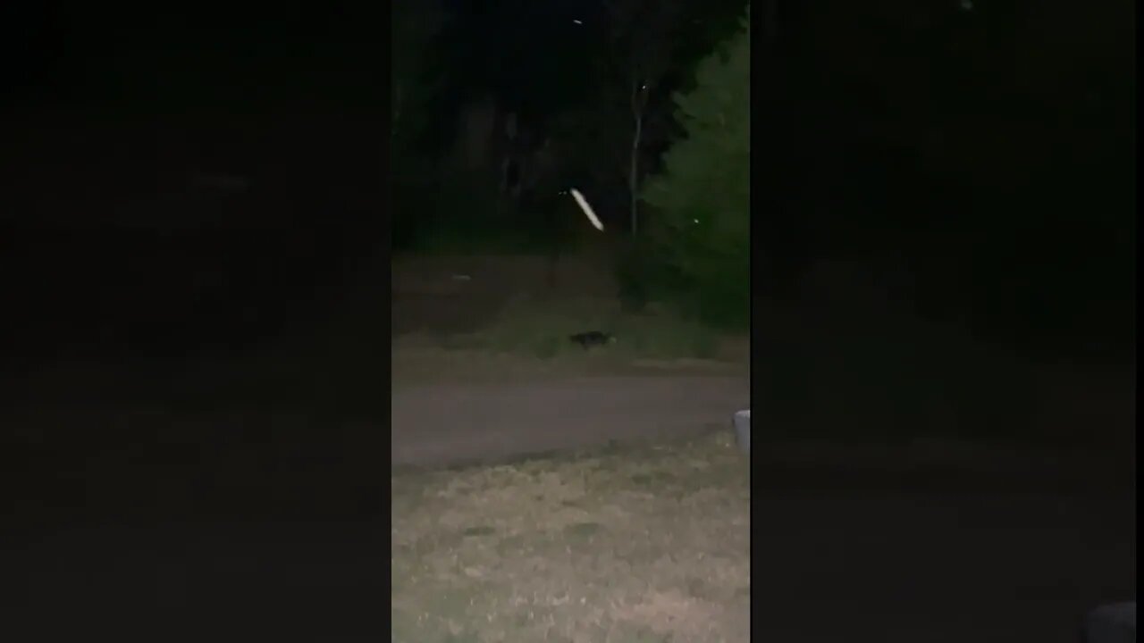 Skinwalker caught on camera ?