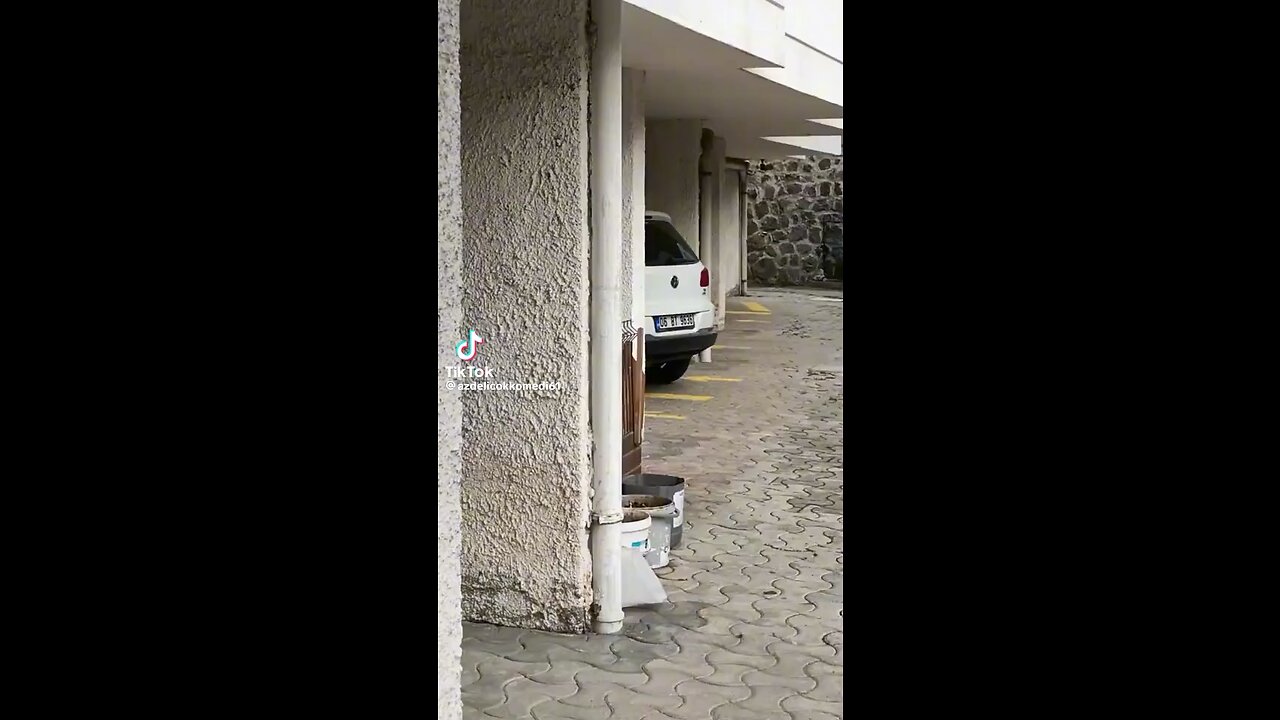 😂😂😂😂
