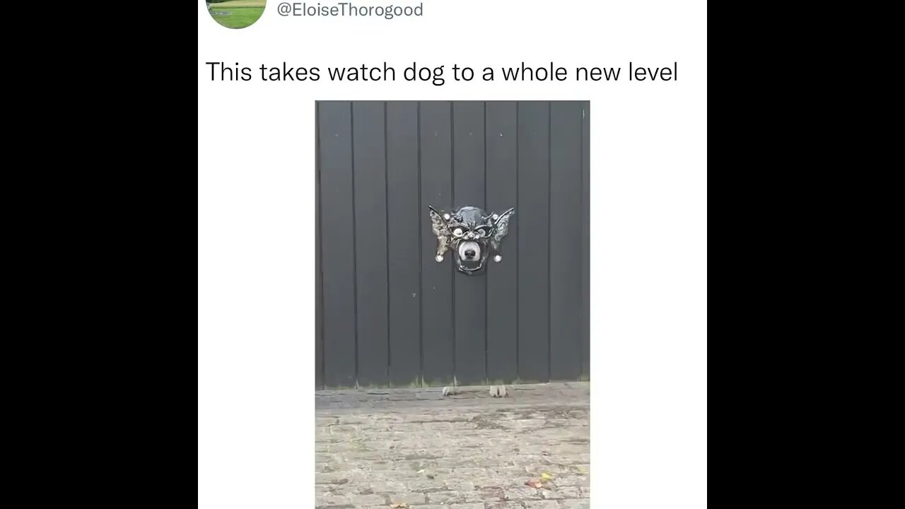 Cuteness overload, am I right? 🤩