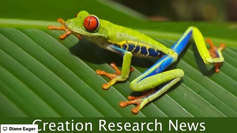 From Frogs to Chickens - amazing discoveries!