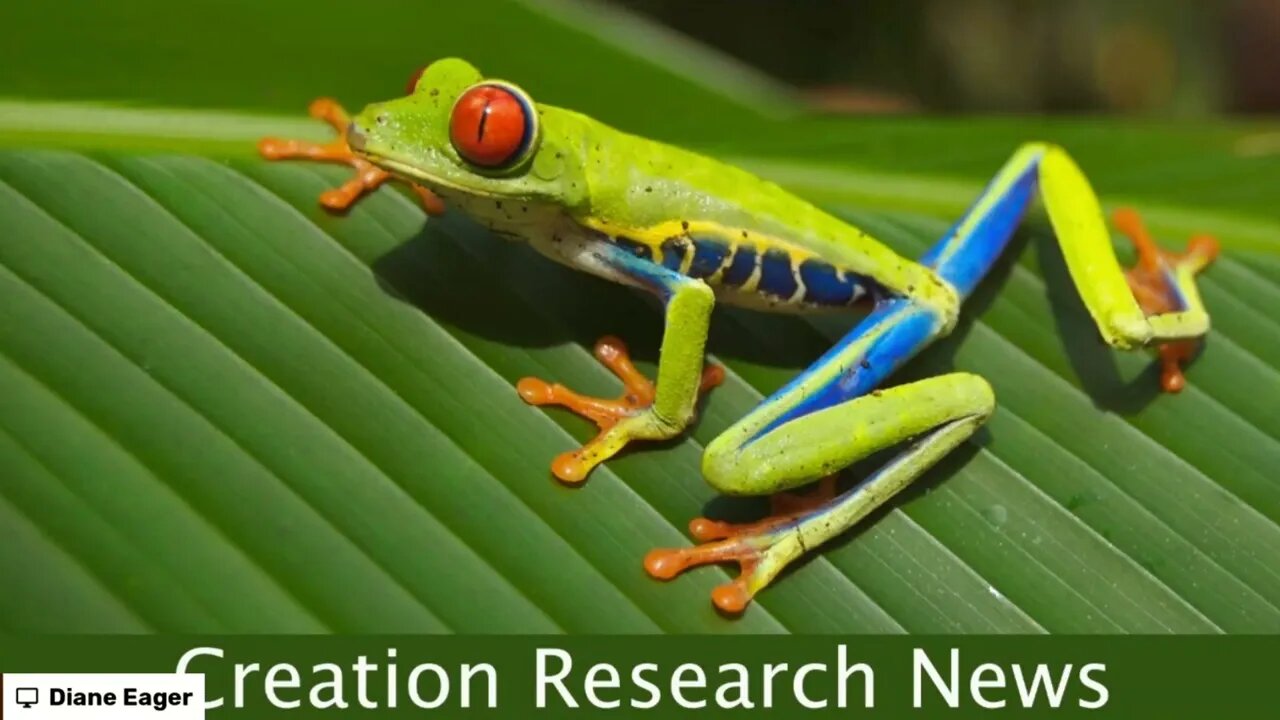 From Frogs to Chickens - amazing discoveries!