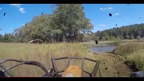 Clearing the troubled Pond Dam