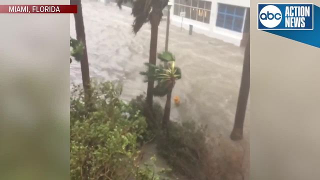 Miami is getting hit with heavy flooding as a result of Hurricane Irma.