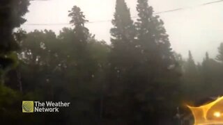 Intense rain and wind blow across Ontario yard