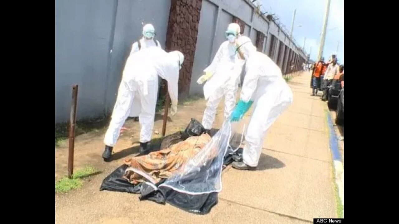 The Chlorine Dioxide Papers: 2015.11 EBOLA VIRUS DESTROYED...just another virus