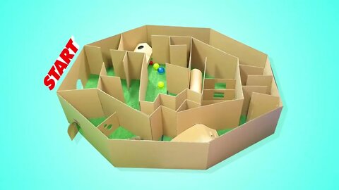 Cat Kitten 🐈 Hamster 🐹 vs Rabbit🐇 Who is the BEST? Battle in the GAINT Maze with Life of Pets Hamham