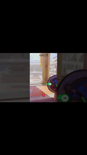 Overwatch 2 Lucio Surf Nepal