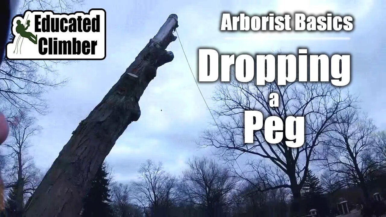 Basic Felling: Dropping a Peg with the Truckers Hitch | Arborist Tree Felling, Cutting, Rigging