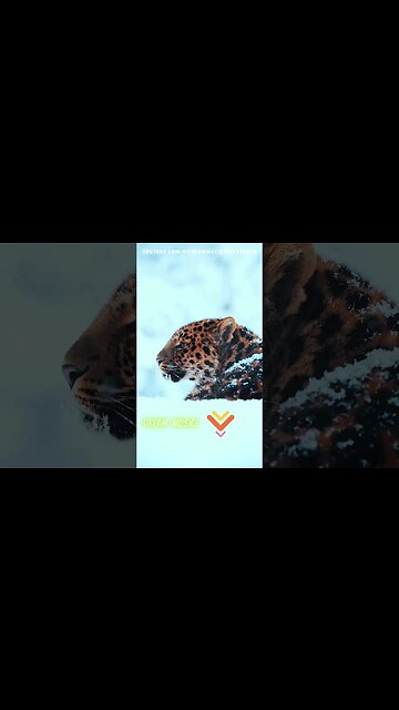 Sun-Kissed Sounds: Best of Deep House Music Mix 2023 for a Blissful Summer 🌞🎵