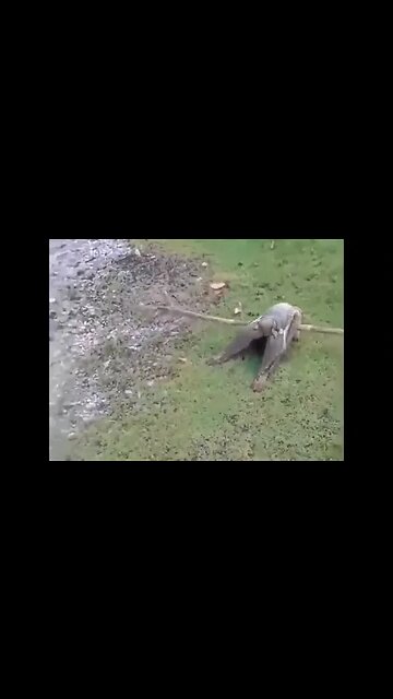 Agenda 2030🤯😨😈👿👺👹