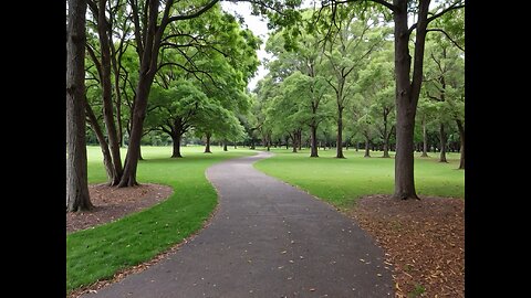 A Walk In The Park