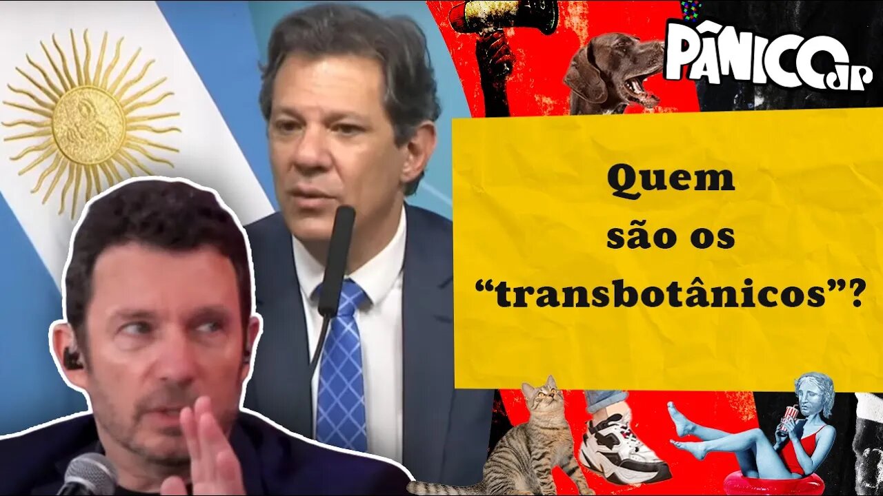 SEGRÉ: "QUALQUER EXPECTATIVA QUE TIRE A ESQUERDA DO GOVERNO ME ANIMA"